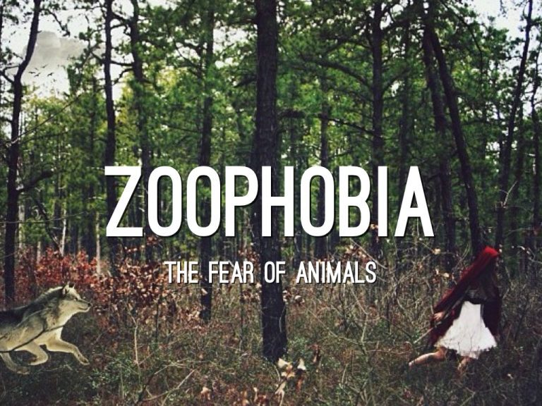 Zoophobia: Causes & Cure