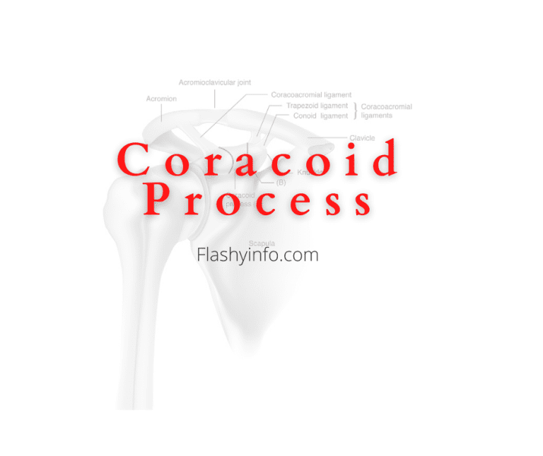 Coracoid Process Injuries and Treatments