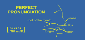 Perfect Pronunciation in Words of Mouth