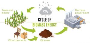 Biomass Energy, A Renewable Source of Energy