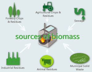 Can Biomass Generate Energy?