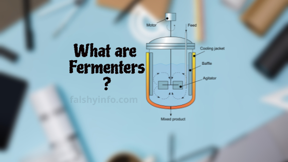 What Are Fermenters? Definition, Properties and Design