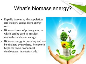 What is Biomass and pyramid of biomass