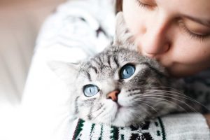 Caring for Cats with Depression Can be Tricky