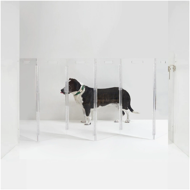 How to Get the Best Clear Acrylic Pet Products: Benefits, Factors to Consider and More