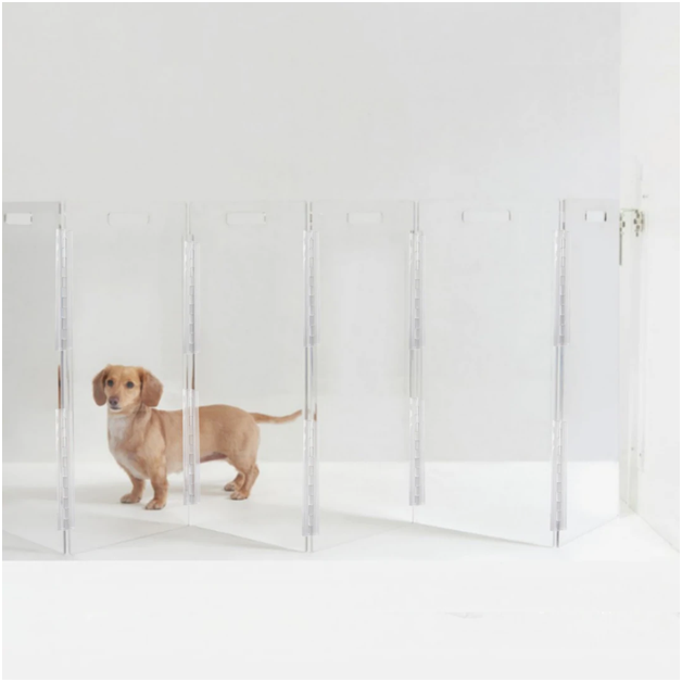 Acrylic Accessories for Pets: Aesthetics vs Function