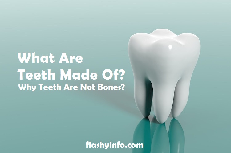 What Are Teeth Made Of? Why Teeth Are Not Bones?