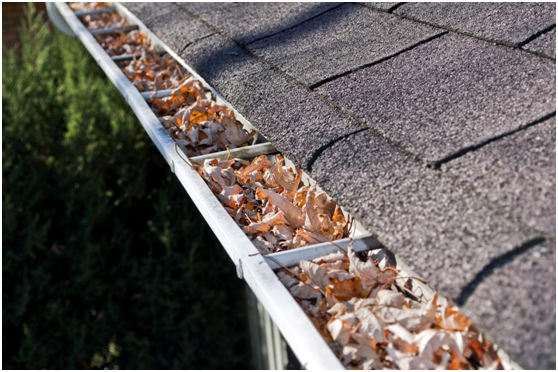 This Is How to Clean Your Gutters the Correct Way