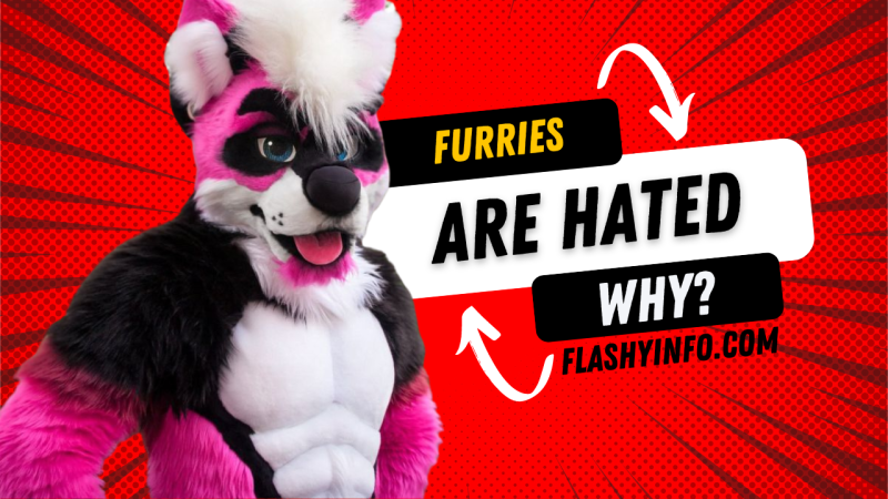 9 Reasons Why Do People Hate Furries? What Really Are Furries?