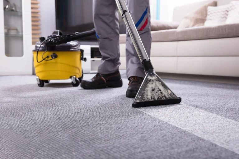 Professional Carpet Cleaning: Unveiling the Secrets to Pristine Carpets